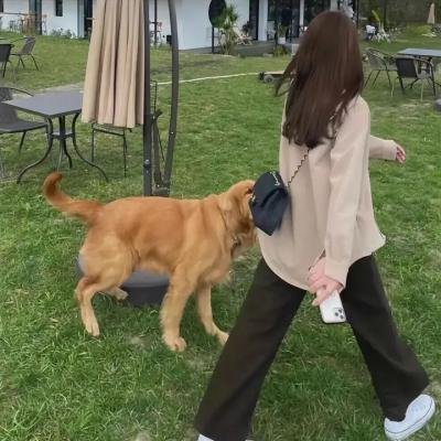 爬行异种